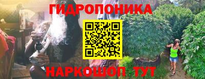 трава Лесосибирск